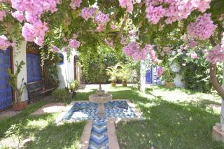 Riad Des Plages - 4