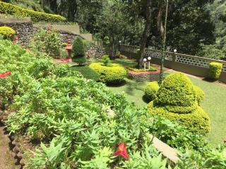Abad Copper Castle Resort - Munnar - 3