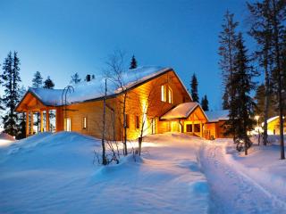 Lapland Dream Villas - Rauhala - 3