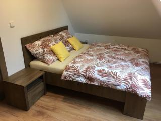 Apartmány Rychtaříkovi - Černý Důl - 2