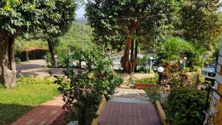 Cozywoods Hill Resort - Banastarim - 4