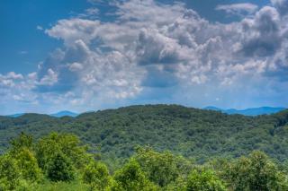TreeTops- Pet Friendly Master on Main 5 minutes from Downtown Blue Ridge - Blue Ridge - 7