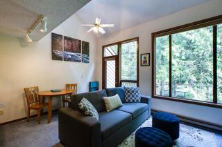 14SW - Fireplace - Dishwasher - Washer Dryer - Sleeps 6 home - 0