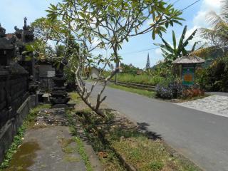 Eko Homestay - Sidemen - 1