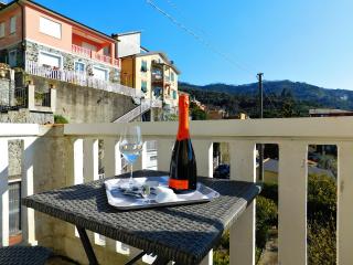 Vacanze in villa, Levanto - Levanto - 6