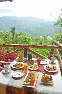 Gorilla Safari Lodge - Rubuguli - 2
