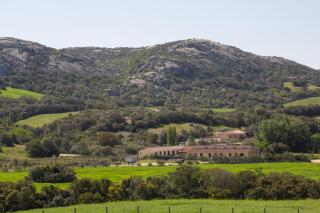 Agriturismo Lu Branu - Arzachena - 6