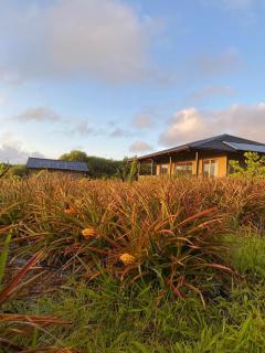 Maunga Roa Eco Lodge - Hanga Roa - 6