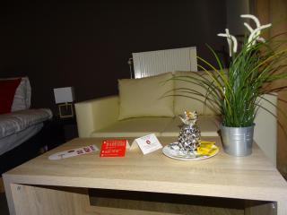Budget Flats Brussels - Brussels - 4