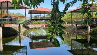 Hotel y Parque Turístico Navar City - Villavicencio - 2