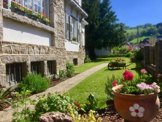 Chambres d'hôtes Les Ecrins - Orbey - 8