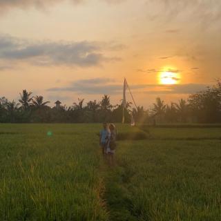 Putra Guest House - Ubud - 7
