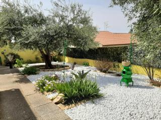 Artistika Golden Apartment - Capitana - 4