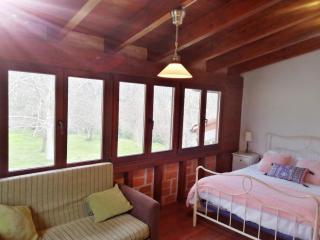 La Fragua del Canajal apartamentos - San Cosme - 5