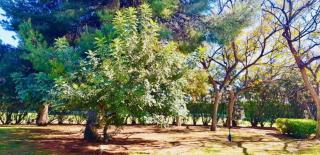 APARTAMENTO CERCA DE PLAYA Y MONTAÑA IDEAL FAMILIAS O RELAX - Puzol - 3