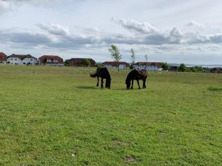 Afbeelding van de locatie