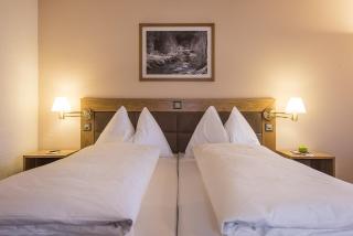 Mountain Plaza Hotel - 4