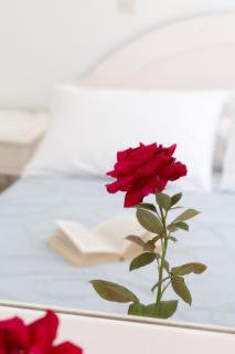 Areti Hotel - Kamari - 9