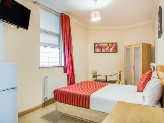 Lovely Studio in London with Patio - Londra - 1