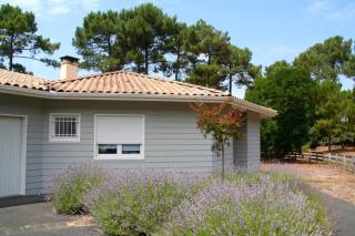 Comfortable house with pool, idyllic sight, golf, close to ocean - Lacanau - 8
