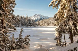 Vista Apartments - 1