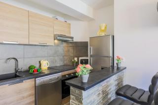 MASSENET PIETONNE AP4196 by Riviera Holiday Homes - Nice - 6