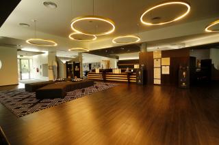 Penafiel Park Hotel & Spa - Penafiel - 4