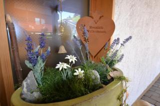 Alp-Chalet - Hirschegg - 6