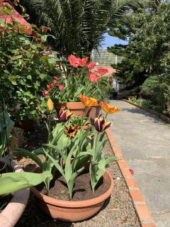 Resort Villa Rosa Maria - Savona - 5