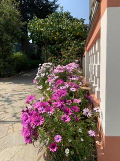 Resort Villa Rosa Maria - Savona - 9