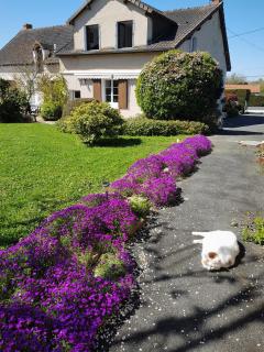 Gite Anne-Marie Davaillon - Châtillon-sur-Indre - 6