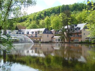 Hotel Molitors Mühle - Eisenschmitt - 0