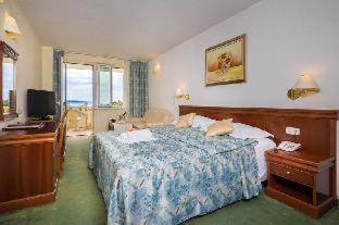 Hotel Villa Bacchus - 1