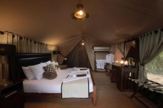 Leopard Trails Yala - Yala - 1