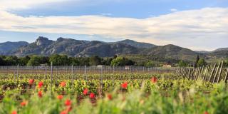 Château des Demoiselles - 8