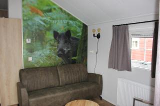 De Bijsselse Enk, Noors chalet 8 - Nunspeet - 8