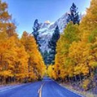 Birch Creek #1 - 1BR/1BA - Down Canyon - 2