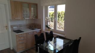 Apartma Golob - Zgornja Kungota - 5