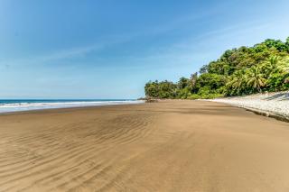 El Ballenato de Bahia #2 - Uvita - 3