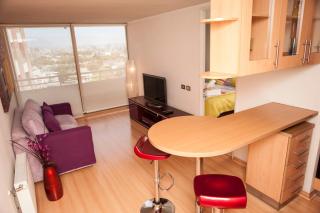 Chilean Suites Providencia - Santiago - 7