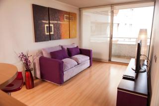 Chilean Suites Providencia - Santiago - 9