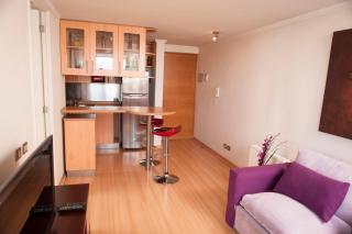 Chilean Suites Providencia - Santiago - 4