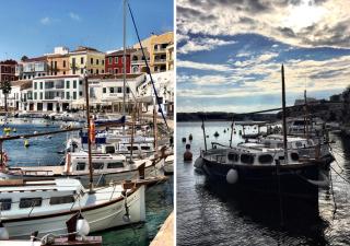 Pardela Menorca - Es Castell - 7