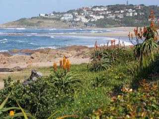 Southern Comfort - Periwinkle - Margate - 3