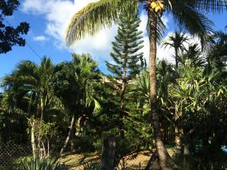 Villa et Gites Le Safran - Le Triskell - Deshaies - 3