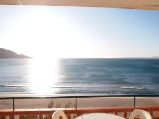 MIRAMAR 37A - Roses - 7