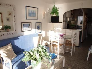 MIRAMAR 37A - Roses - 1