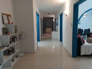 University Area Msida - Msida - 1