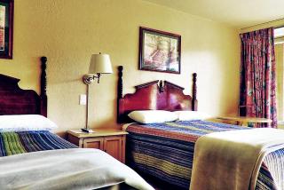 Micanopy Inn - Micanopy - 5
