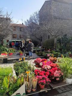 Mountain View Townhouse Quillan - Quillan - 3